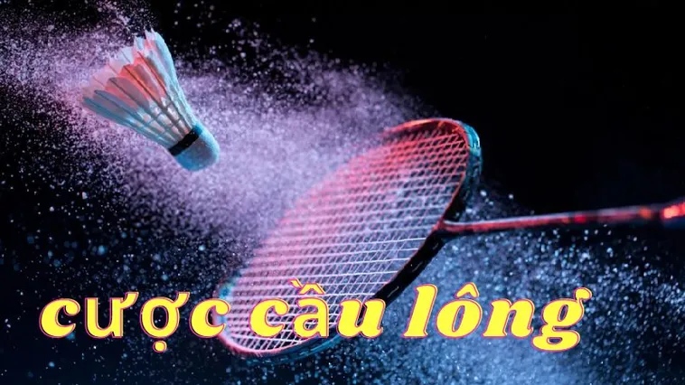 Cách Chơi Cá Cược Cầu Lông Tại VSWin Hướng Dẫn Chi Tiết Và Mẹo Hiệu Quả