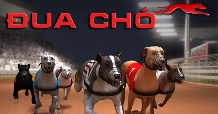 Cách Chơi Game Nhanh Đua Chó Tại VSWin Hiểu Luật Cược Và Mẹo Thắng Lớn